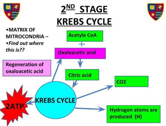 ASCC_PEdept's tweet image. @A2_PE_Student @sophiepeensoll #happyrevising