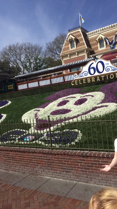 so uh disneyland is great https://t.co/iEnlOsRbw3