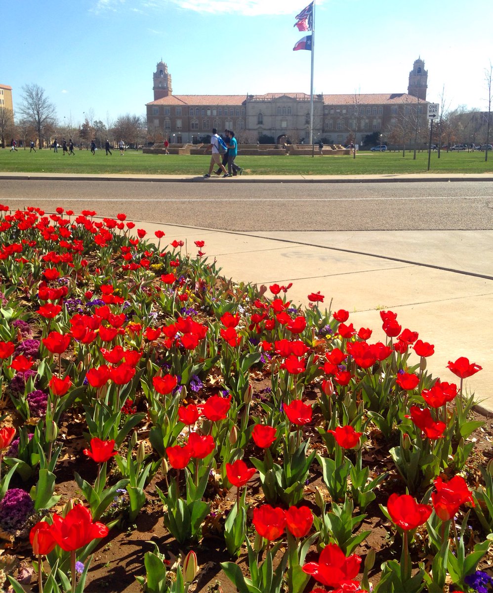 Sure looking a lot like spring here in Raiderland!! 😍👆🌷❤️