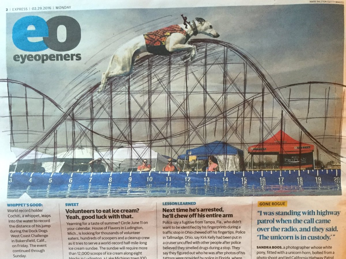 CoasterDoodler's tweet photo. "One RUFF Ride" @WaPoExpress #coasterdoodle https://t.co/pSvhL2W4jC