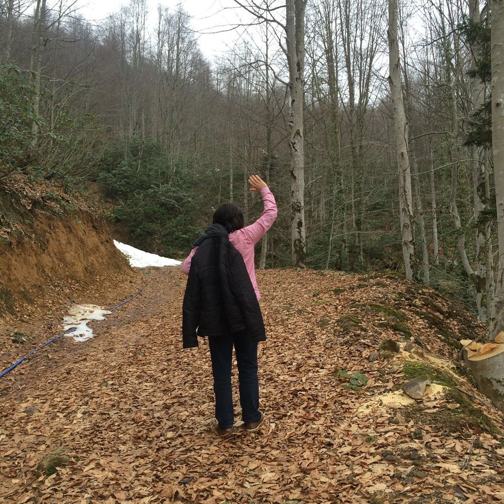 İşte gidiyorum bir şey demeden arkamı dönmeden şikayet etmeden ...