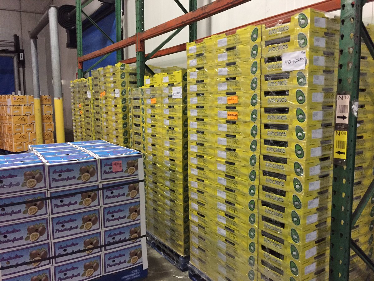 AvolutionFresh's tweet photo. Great looking Shepard #avocados in the market this morning fresh start to the year @GoodFruitandVeg @ABCRural https://t.co/8MD7UGJqNZ