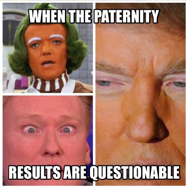 HamBrosPodcast's tweet photo. @realDonaldTrump @TeamCoco #meme #DonaldTrump #orange #2016 #seriously https://t.co/JfWo6JqO7p