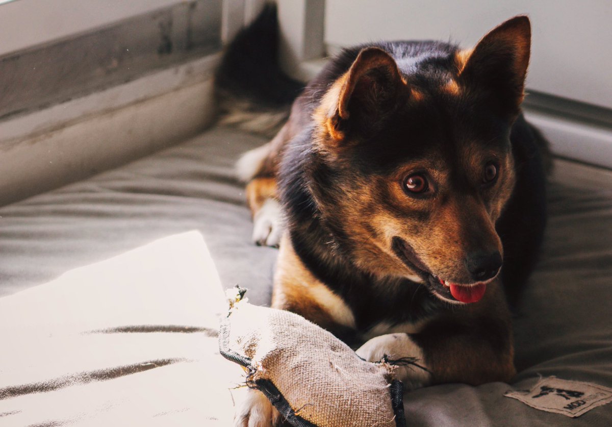 Batman. I kinda need him in my life forever. I love him. I love Batman . . . Batman