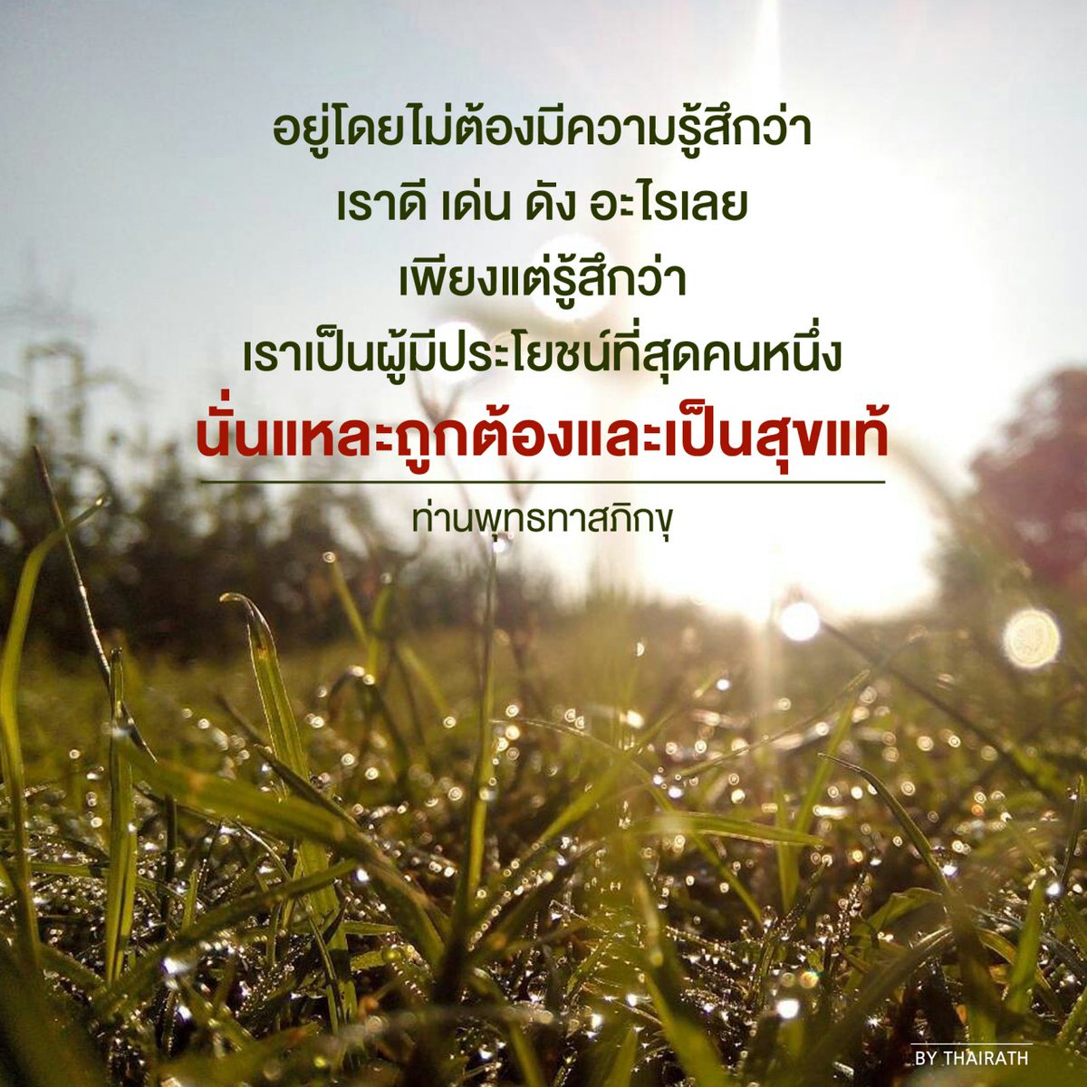 My Image 11
