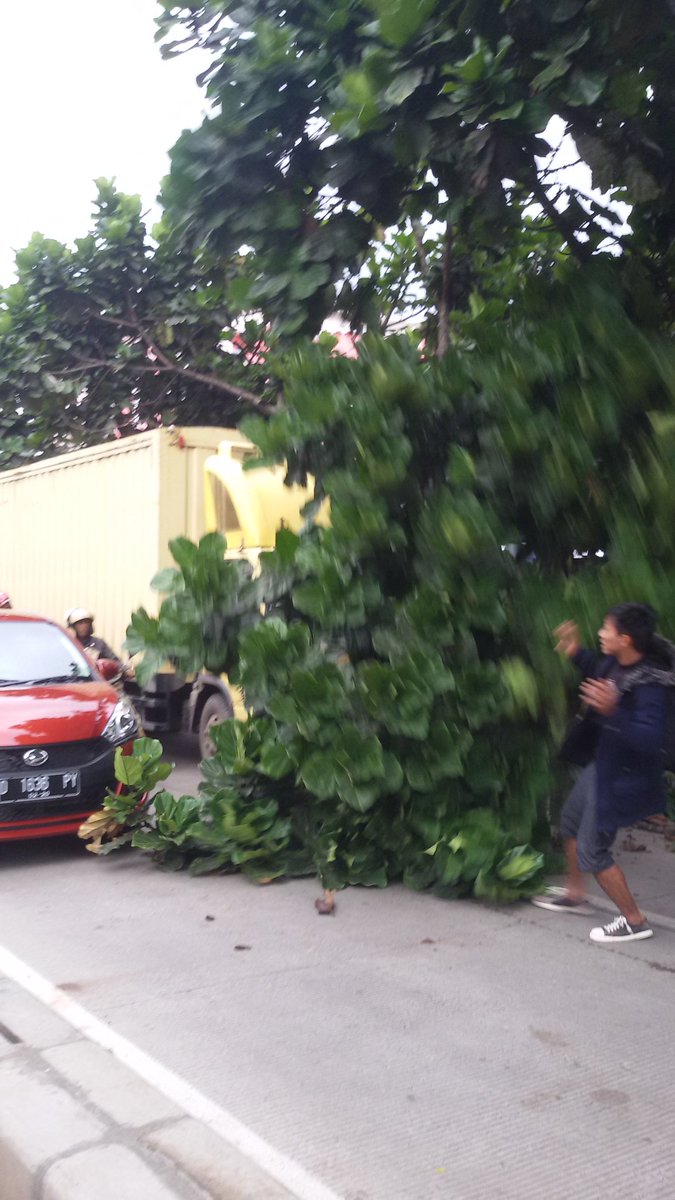 infobandung's tweet photo. .@diskamtam @Relawan_Damkar @hialman_king: Pohon tumbang di dkt pull budiman sbm bunderan cibiru. Menyebabkan kmctn https://t.co/vNm3ZRn1jh