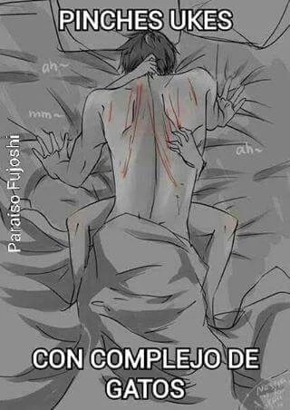 DisabledModesty's tweet image. 