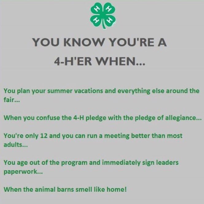 Mississippi 4-H tweet media