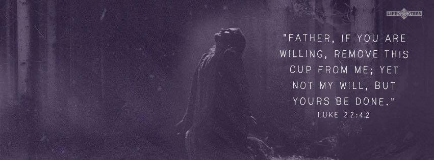 ashbashnash's tweet image. Agony in “our” Garden? theunveiledblog.wordpress.com/2016/03/01/ago…