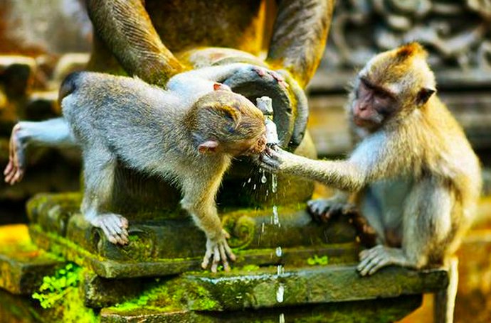 You were given this life, because you were strong enough to live it. #bali #quotes with <a href="/LifeBeforeWork/">LifeBeforeWork</a> <a href="/gede_prama/">peace, peace, peace</a>