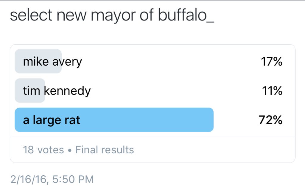 SLEEPCLOSEDEATH's tweet photo. #largerat https://t.co/Nh4kHYqB2o