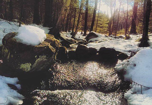OnHighlands's tweet photo. Another beautiful day in #OntariosHighlands. #WinterWander | 📷 via @petehewy | #ThanksForT… https://t.co/wlJ3UEG2Zb https://t.co/K7JK19MHX0