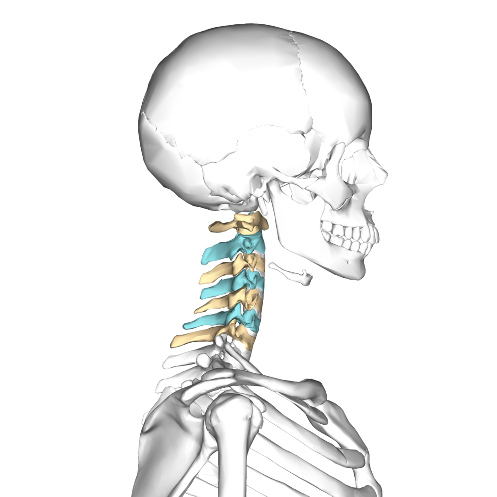 DrRandyMartin1's tweet photo. Our growing population will continue to place physical therapists in high demand: https://t.co/Z7UfYOs1jV https://t.co/zyGBFGCZzt