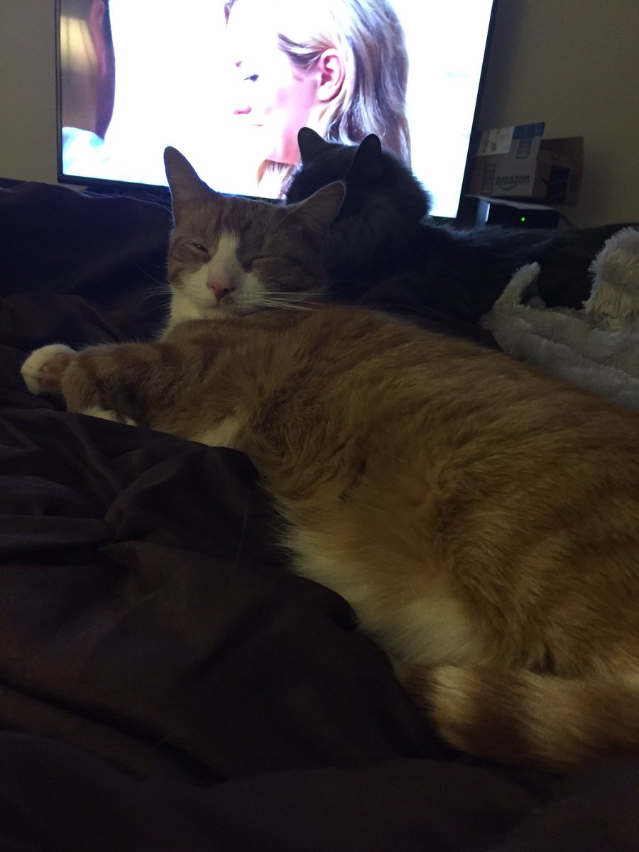 Jack Rathe (@JackRathe) | Twitter