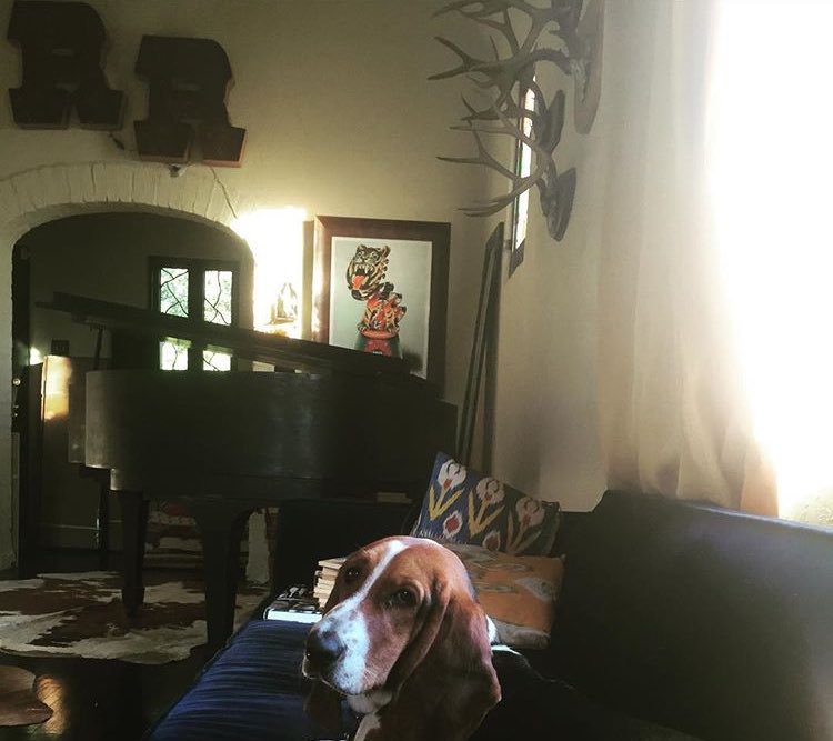 RyanRoss3rd's tweet photo. Me:Can I get a giant RR for our wall? 
Brendon and Z:No
I got it while you were sleeping @_Brendon_Urie_ @Z_Beth_ https://t.co/9zra3JfPME