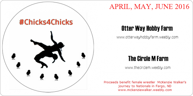 tiffanyzemail's tweet photo. ONLY 1 MONTH UNTIL #CHICKS4CHICKS BEGINS!!!!!! https://t.co/98DZMexkd0