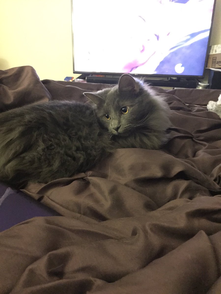 Jack Rathe (@JackRathe) | Twitter