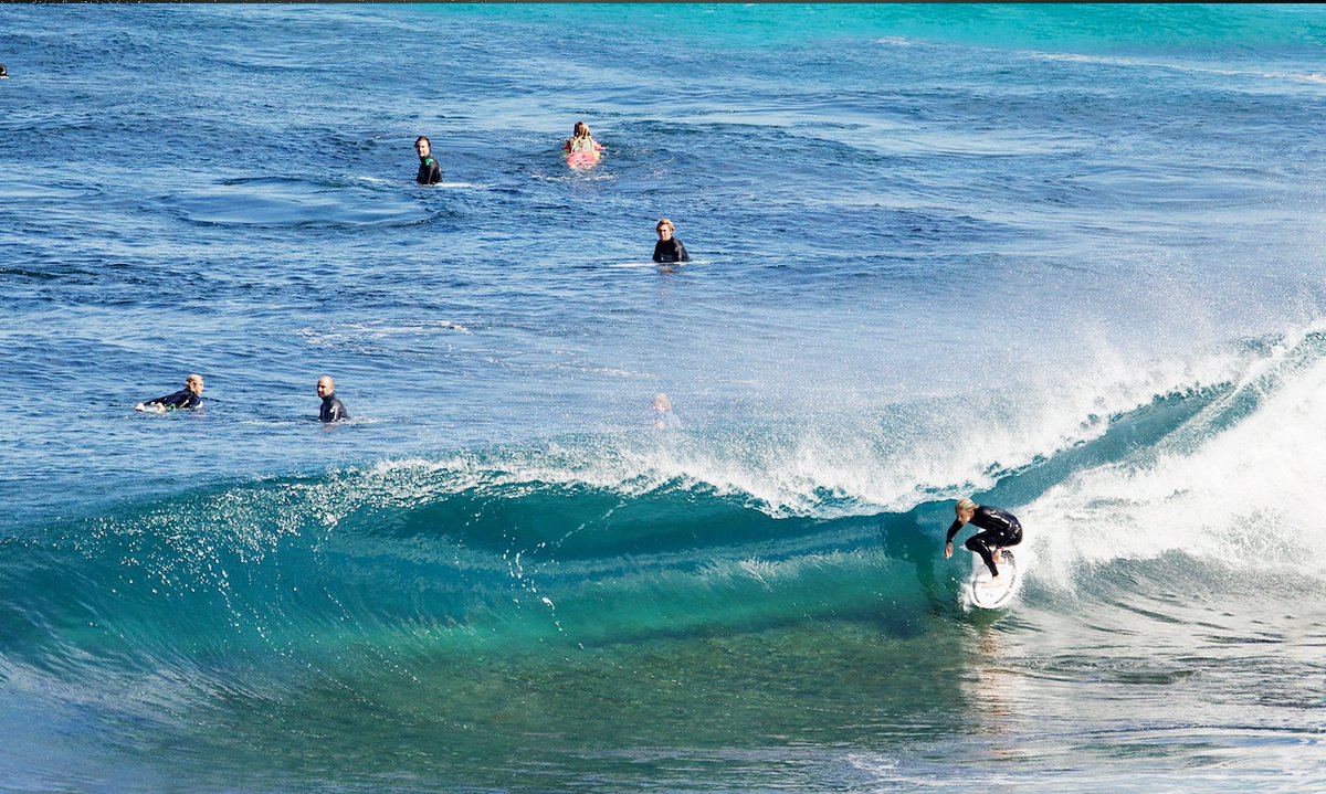 Hide and seek. <a href="/koloheandino/">Kolohe Andino</a>  📷 | Quinn Matthews