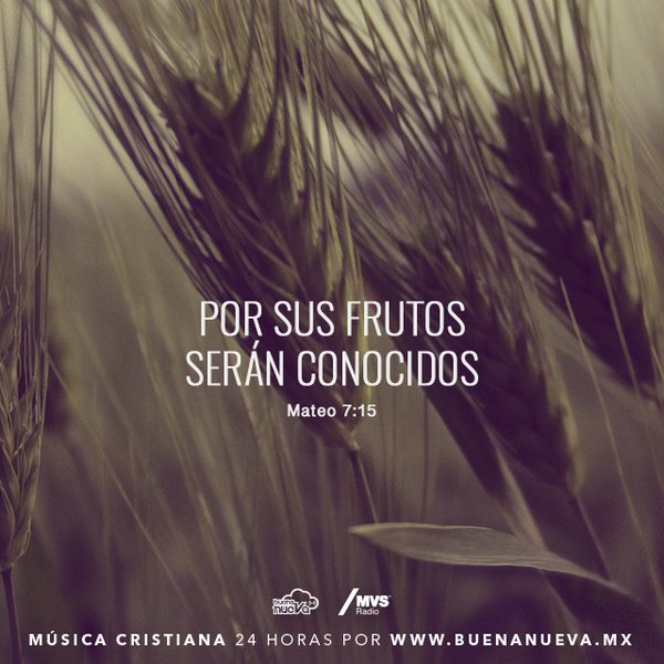 merielpaola's tweet photo. Por Sus Frutos Serán Conocidos 
#MateO711 https://t.co/7DOm1NHeqc