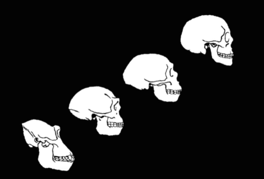 newscientist's tweet photo. Video: Why we are furless and other enigmas #Explanimator https://t.co/x59k0STpL0 https://t.co/3FlycRJfKj