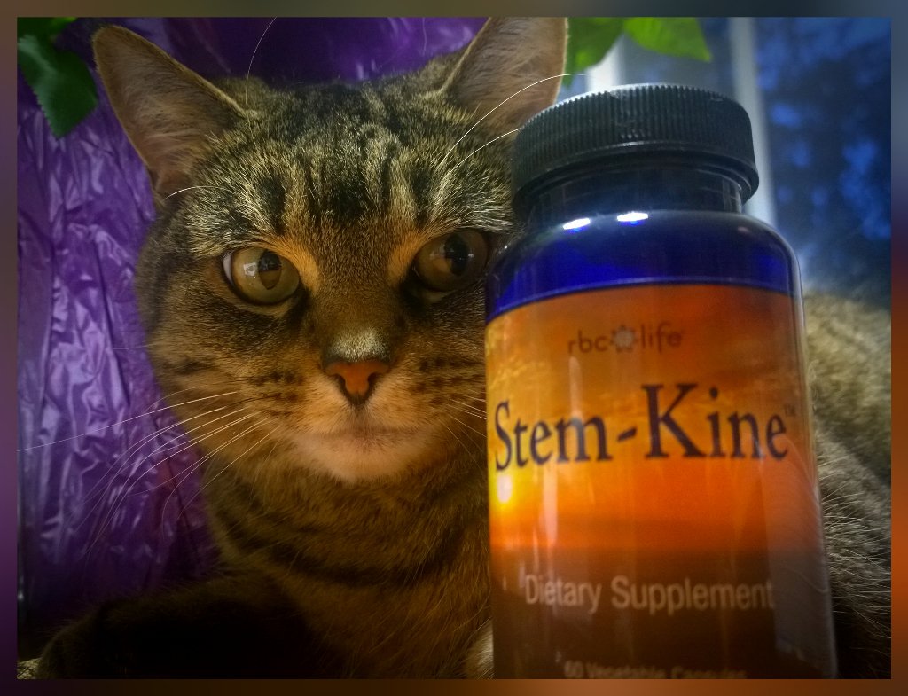 BalanCHIng's tweet photo. RBC Life Personalized Nutrition #RbcLife #nutrition #changeyournormal https://t.co/v1P3oBsnfT