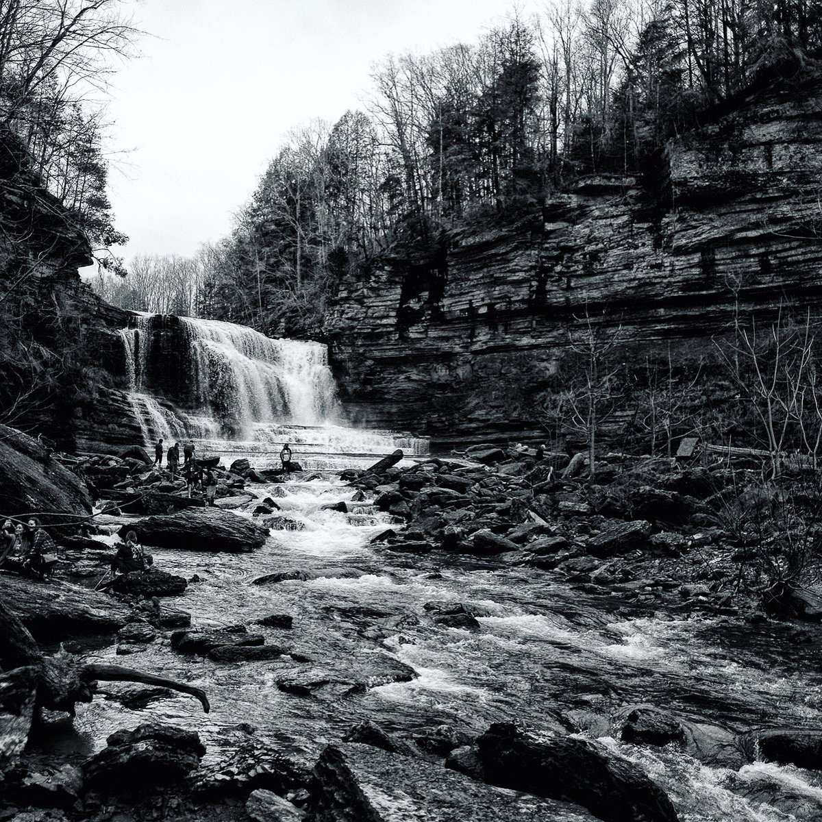 cdybrynt's tweet photo. Explored #CumminsFalls in more of a #blackandwhite style this last visit. @TennStateParks  #hikeTenneessee https://t.co/PJfQyLGxTu