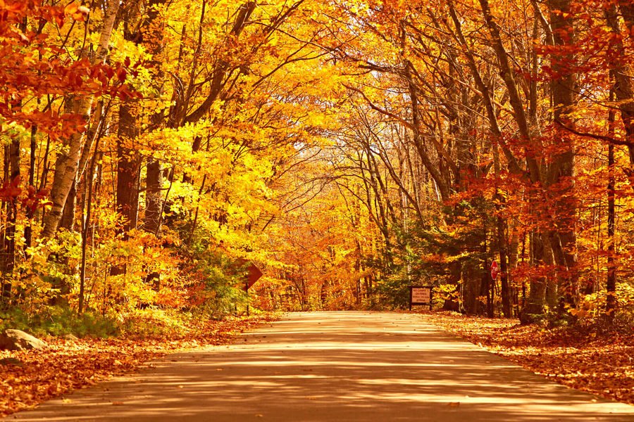 Qantas Travel Insider on Twitter "Happy first day of autumn! Here are