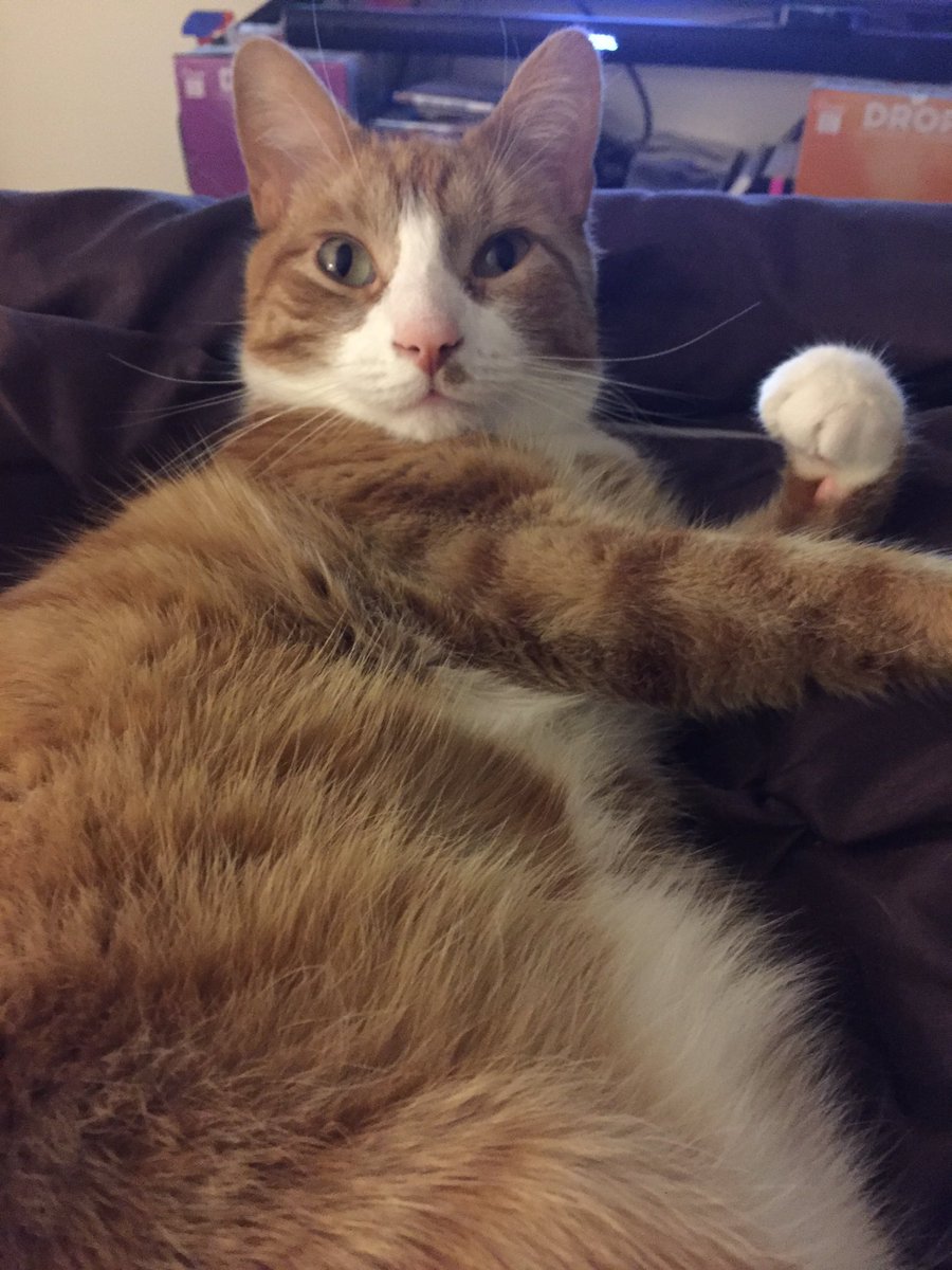 Jack Rathe (@JackRathe) | Twitter