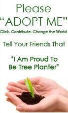 GREEN 4 FUTURE tweet media