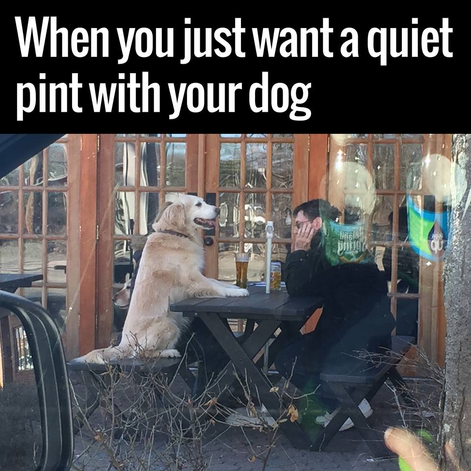 Mybarkingpost's tweet photo. Mans best friend.
Credits MushroomedAnus @reddit https://t.co/WiYUhmaXCS