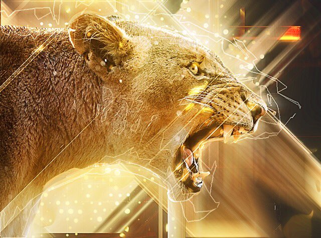 JHRDesign's tweet image. Spirit animals series