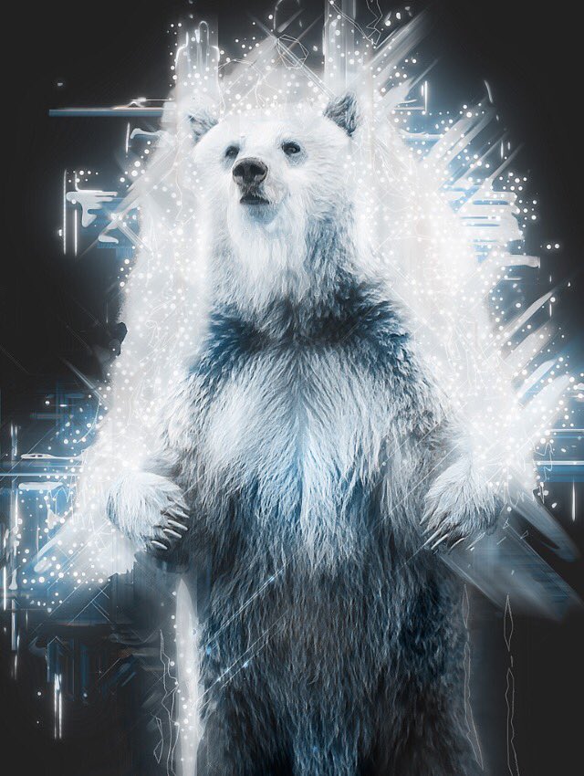 JHRDesign's tweet image. Spirit animals series