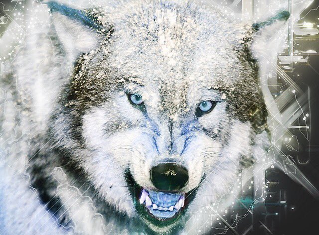 JHRDesign's tweet image. Spirit animals series