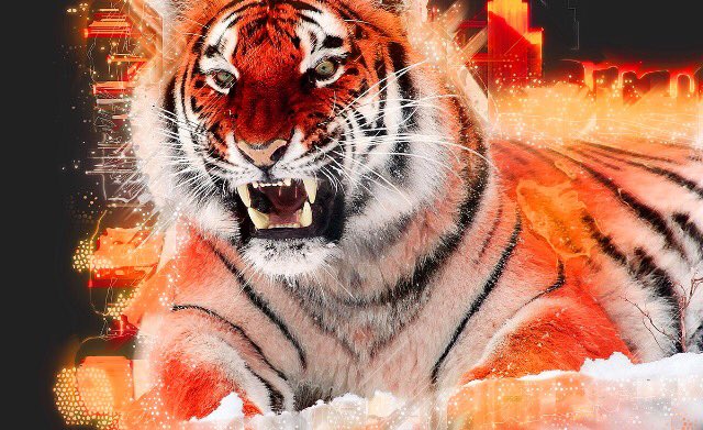 JHRDesign's tweet image. Spirit animals series