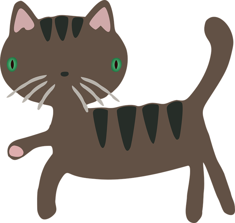 EMM_Lee16's tweet photo. @ChasCityPaper Please Retweet this Important Info on Care of Cats. link: https://t.co/LAxhLc0bZY https://t.co/4kKIolq2Xu