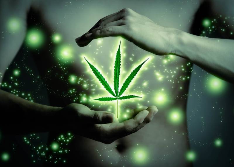 Weed May Aid in Withdrawal from pain killers addictions #cannabishealing #herbal_organix ow.ly/YSeCY