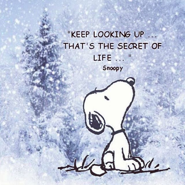 MadameMadeline's tweet photo. "Keep Looking Up... That's the Secret of Life..."  https://t.co/KNkAB5On9L  #snoopy #secretoflife https://t.co/aZRjmX0sdi