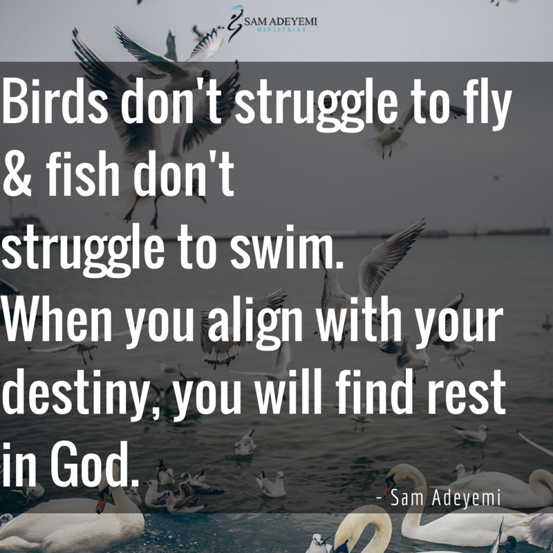 sam_adeyemi's tweet photo. Look around  today. Birds don't struggle to fly &amp; fish don't struggle to swim! Align yourself with God's plan. https://t.co/blZgLIu57C