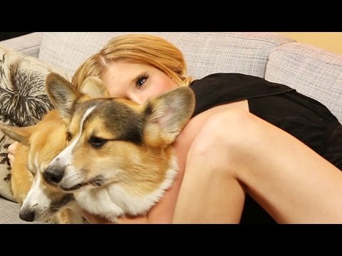 omgthisissocute's tweet photo. #Boyfriend Surprises ...
https://t.co/5NbztagQGF
#Animals #BuzzFeed #Buzzfeedvideo #Buzzfeedyellow #Corgi https://t.co/5ralhiF6Gi