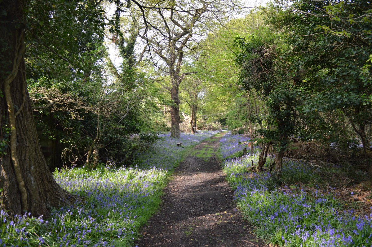 TheAlverValley's tweet photo. The Wildgrounds opens tomorrow. Wed-Sun, 10-4. Buy your permits at the gate @moreGosport @GosportCouncil https://t.co/xQ7Ats3PN5