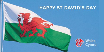 This is Cymru Wales tweet media