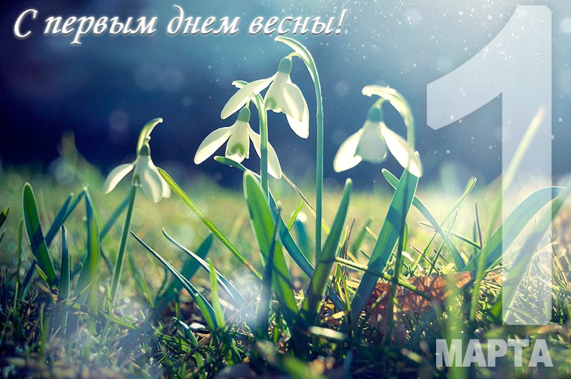 EurostudyINFO's tweet photo. #spring #Весна пришла! https://t.co/fPzo65RKNY