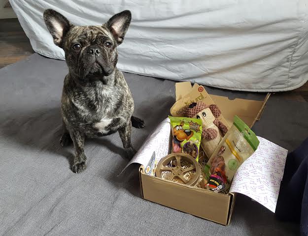 vivadogsUK's tweet photo. My #FarmBox! :)
#barkbeats #dogsoftwitter https://t.co/WTMx9qqShv