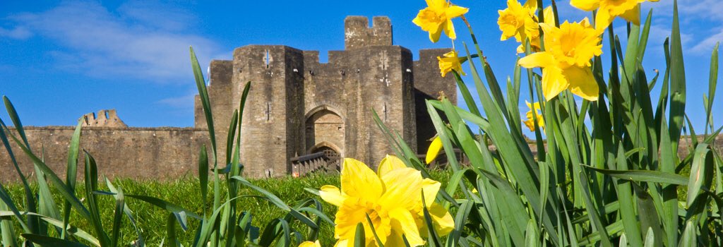 ActiveCentralUK's tweet photo. Happy St David's day all❤️
#StDavidsDay #Cardiff #welsh https://t.co/WW8XHdYqtg