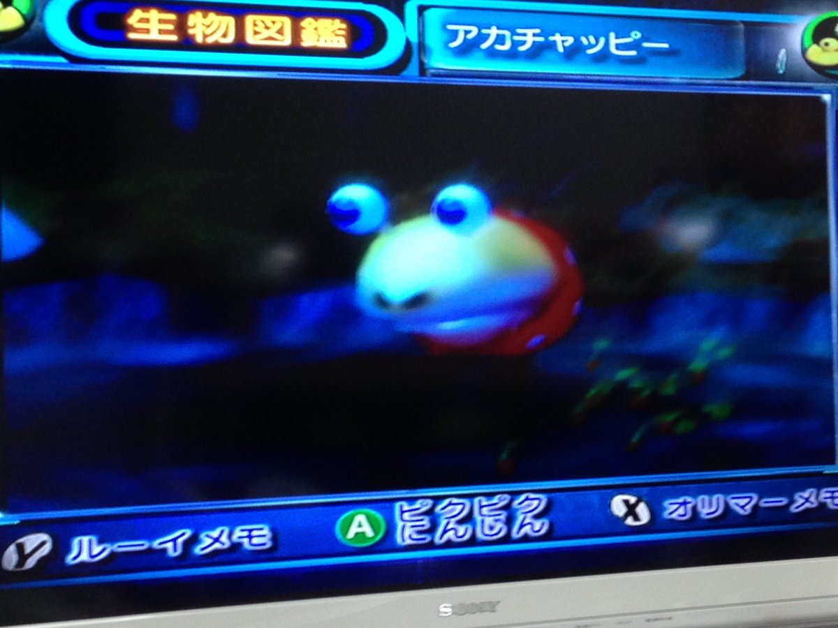 ルーイメモ Japaneseclass Jp ルーイメモ Japaneseclass Jp