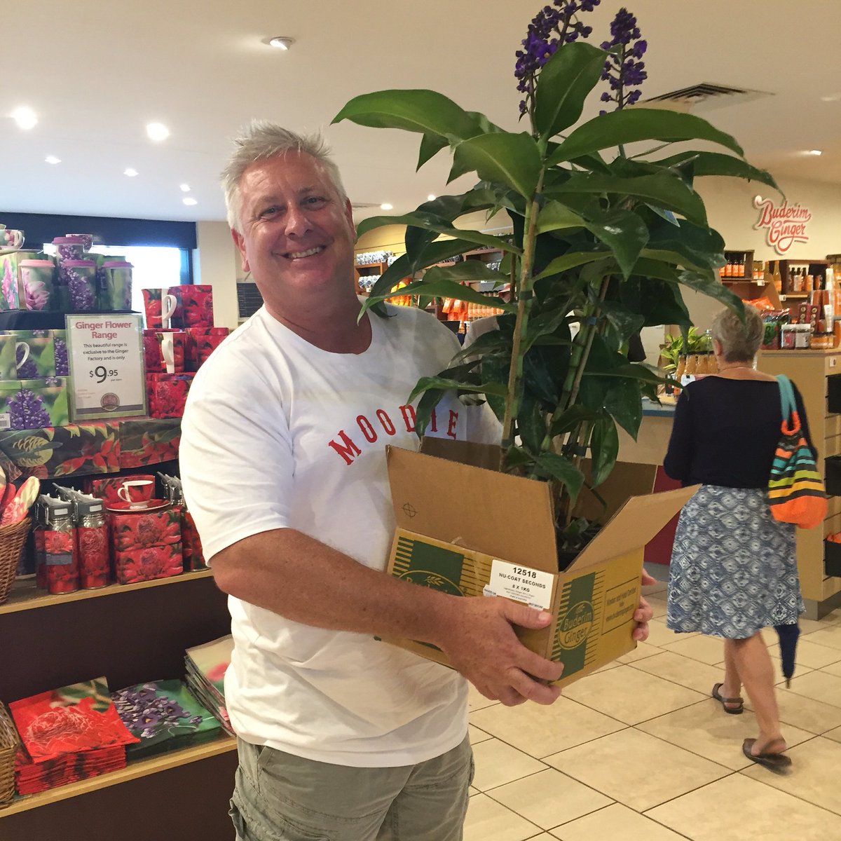 Ginger_Factory's tweet photo. #Dicko stopped by this afternoon to stock up on some beautiful Blue Gingers! #GingerFactory #VisitSunshineCoast https://t.co/YOj4lDbdqB