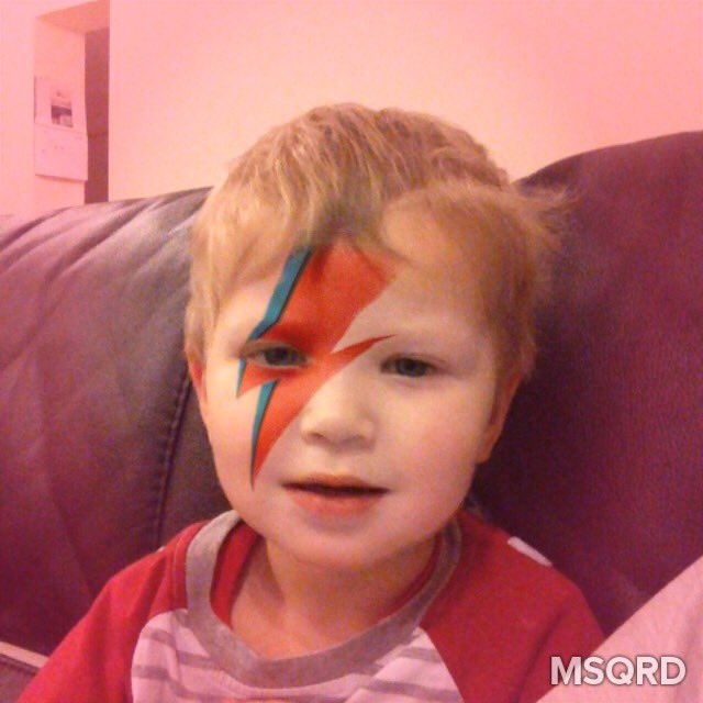 jackjack11w's tweet photo. Ziggy Jack https://t.co/dM0J3gWl3U