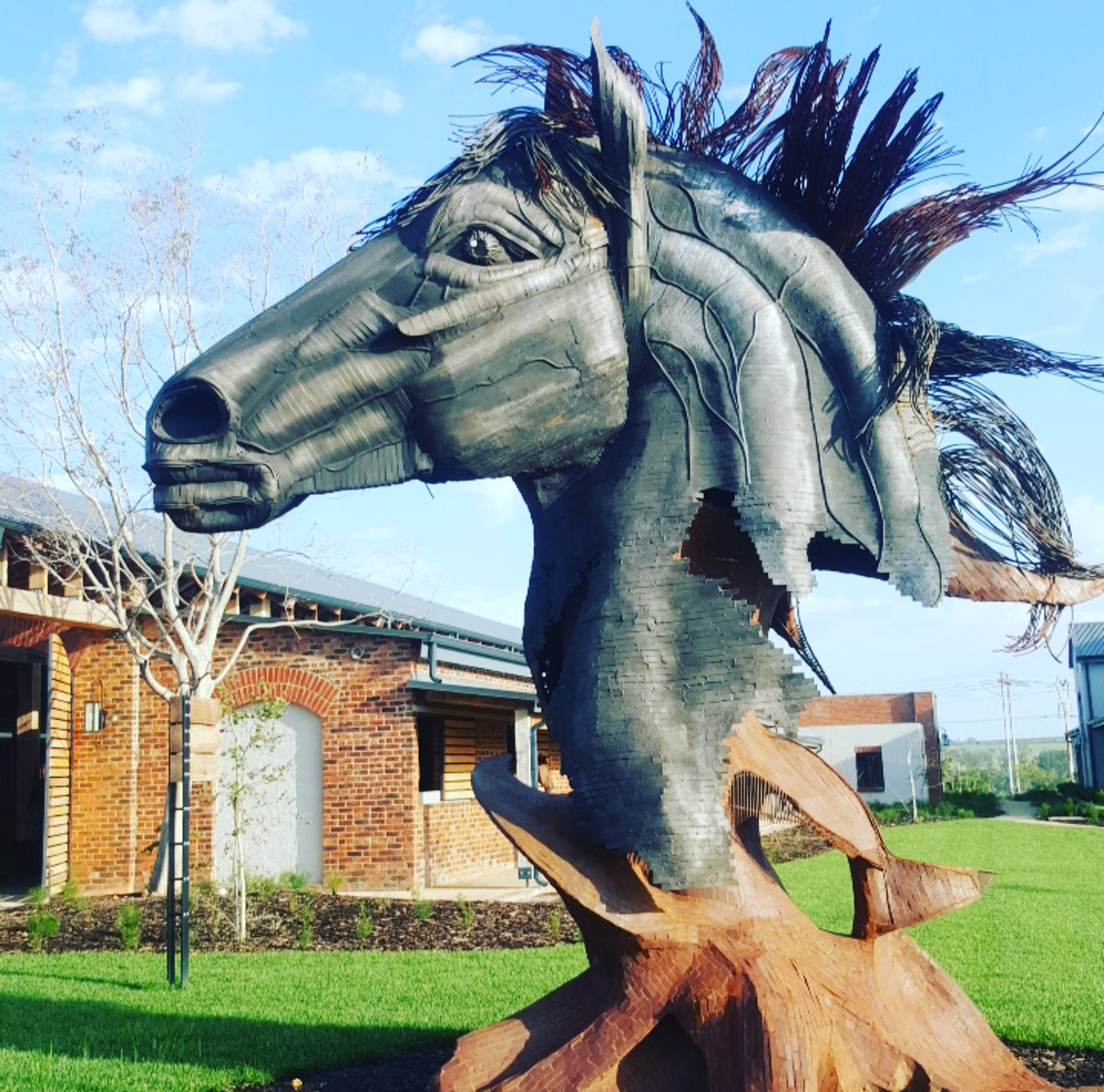 EquestrianH's tweet photo. The setting for yesterday's #FaceOfEH photoshoot with @tbimages - exquisite Steyn City Equestrian Centre https://t.co/XXr7ZXPoPI