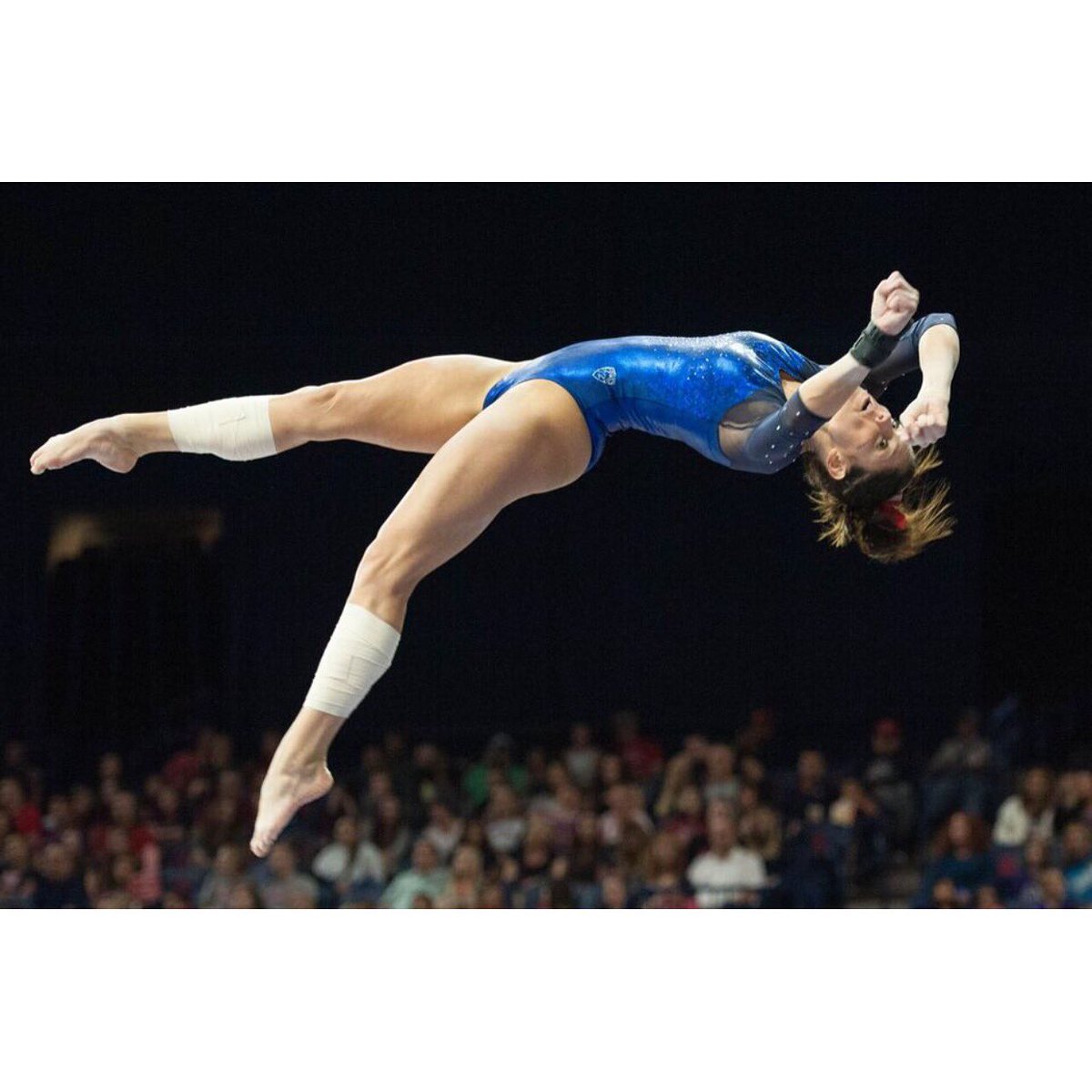ArizonaGymCats's tweet photo. "If your heart believes, your mind conceives, you will achieve." -Mike Wilson #MotivationMonday from Lexi Mills! https://t.co/0Cup1Gxxgi