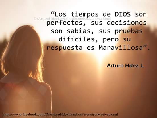 alicia_nature's tweet photo. EL SEÑOR ES MI PASTOR NADA ME FALTARA... TENGAMOS SIEMPRE FE ESPERANZA Y AMOR https://t.co/qgpr4yjAPA